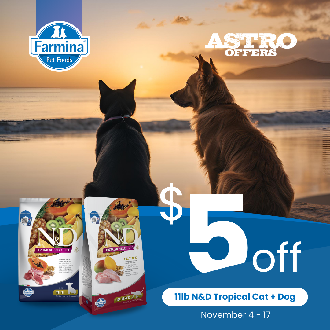 Temecula Mama | Lisa McGuigan | JFFD & COSTCO // @justfoodfordogs has ...
