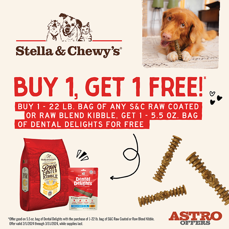 Buy 1 get hotsell 1 free dog food